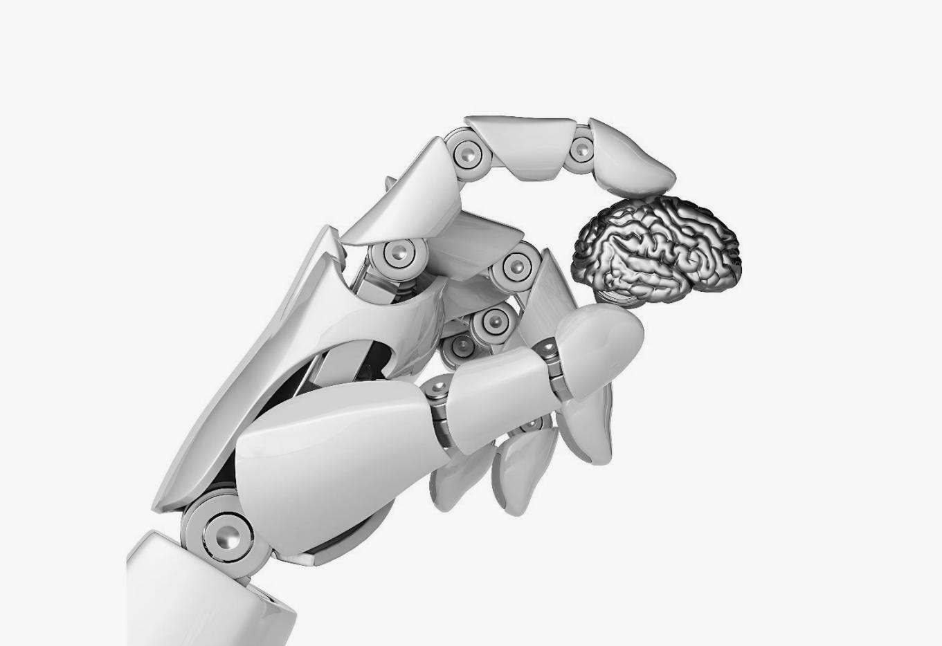 Interaktive Kursinhalte und Übungen